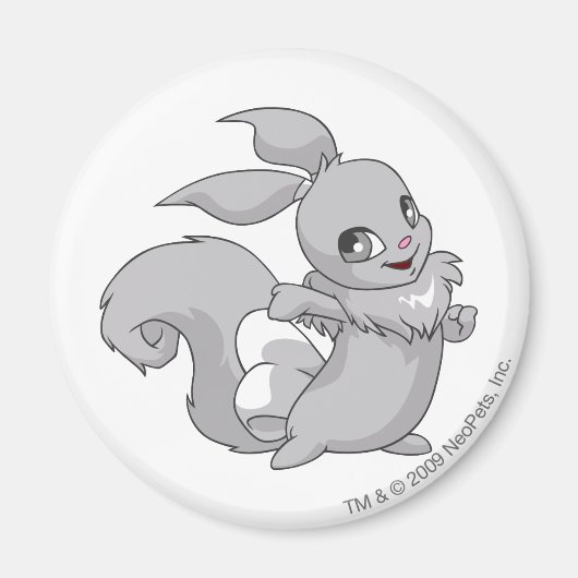 Usul Silver Magneet (Voorkant)