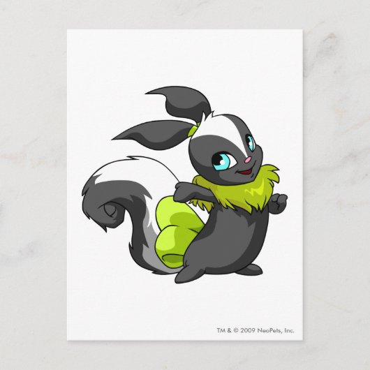 Usul Skunk Briefkaart (Voorkant)