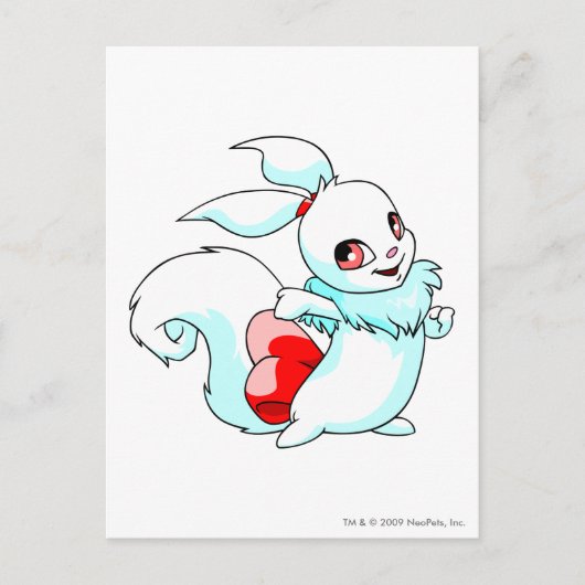 Usul White Briefkaart (Voorkant)