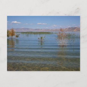 UT, Bear Lake Briefkaart