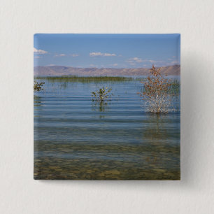 UT, Beer Lake Vierkante Button 5,1 Cm