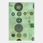 Utah au microscope (Recto)