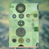 Utah au microscope (Neutre)