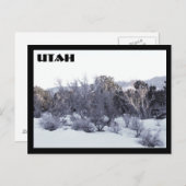 Utah Briefkaart (Voorkant / Achterkant)