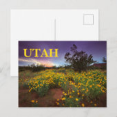 Utah Desert Wildbloemen Briefkaart (Voorkant / Achterkant)