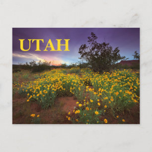 Utah Desert Wildbloemen Briefkaart
