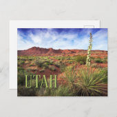 Utah Desert Yucca Briefkaart (Voorkant / Achterkant)