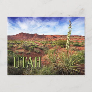 Utah Desert Yucca Briefkaart