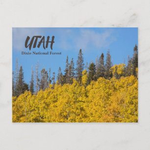 Utah Dixie National Forest Briefkaart