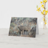 Utah muihert buck kaart (Gele Bloem)