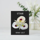 Utah Sego Lily Briefkaart (Staand voorkant)