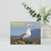 Utah State Bird - California Gull Briefkaart (Staand voorkant)