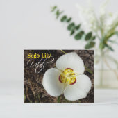 Utah State Flower: Sego Lily Briefkaart (Staand voorkant)