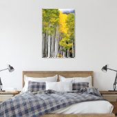 Utah. Verenigde Staten. Aspen Trees (Populus Tremu Canvas Afdruk (Insitu (Slaapkamer))