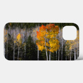 Utah, Verenigde Staten. Aspen Trees (Populus Tremu Case-Mate iPhone Case (Achterkant (horizontaal))
