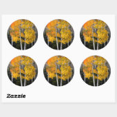 Utah, Verenigde Staten. Aspen Trees (Populus Tremu Ronde Sticker (Vel)