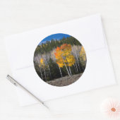 Utah, Verenigde Staten. Aspen Trees (Populus Tremu Ronde Sticker (Envelop)