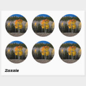 Utah, Verenigde Staten. Aspen Trees (Populus Tremu Ronde Sticker (Vel)