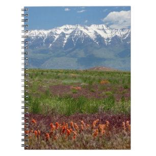 Utah, Verenigde Staten. Timpanogos ruist boven Notitieboek