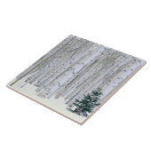 UTAH. VS. Aspen (Populus tremuloides) & Douglas Tegeltje (Zijkant)