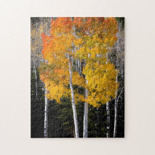 Utah, VS. Espenbomen (Populus Tremuloides) 3 Legpuzzel (Verticaal)