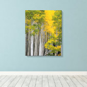 Utah. VS. Espenbomen (Populus Tremuloides) Canvas Afdruk (Insitu (Houten vloer))