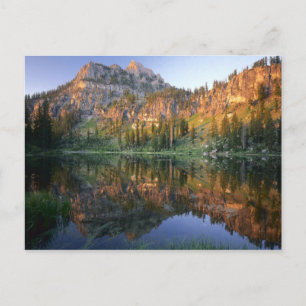 UTAH. VS. Mt Magog, gereflecteerd in witte pine Briefkaart