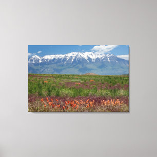 Utah, VS. Mt. Timpanogos rijst erboven Canvas Afdruk