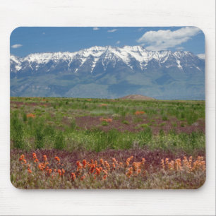 Utah, VS. Mt. Timpanogos rijst erboven Muismat