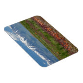 Utah, VS. Mt. Timpanogos Rises Above Magneet (Rechterzijde)