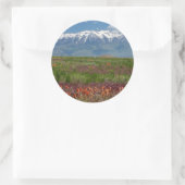 Utah, VS. Mt. Timpanogos Rises Above Ronde Sticker (Tas)