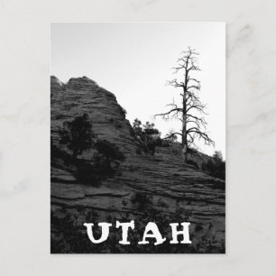 UTAH Zion National Park Lone Tree White Briefkaart