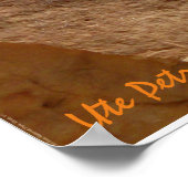 Ute Petroglyphs Poster (Hoek)