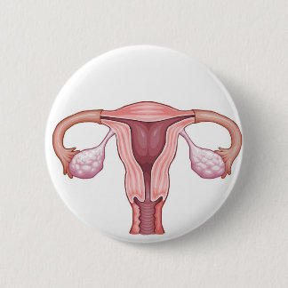 Uterus Ronde Button 5,7 Cm