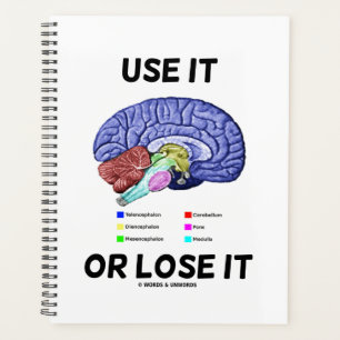 Utilisez-Le Ou Perdez-Le Anatomique Cerveau Consei