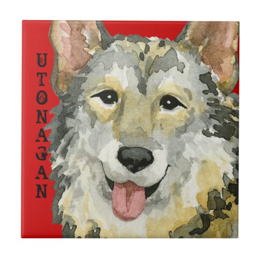 Utonagan-kleurenblok Tegeltje (Voorkant)