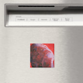 UV Head 2001 Magneet (Insitu (Vaatwasser))