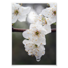 Uw aangepaste 12-inch x 16-inch fotouitbreiding foto afdruk