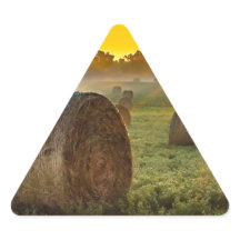 Uw aangepaste driehoek Stickers