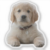 Uw Afbeelding hier Waterdichte individuele laptop Sticker (Voorkant)