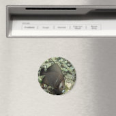 UW Angel Fish Magnet : chan-chemuyil.com (In Situ (Lave-vaisselle))