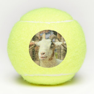Uw camera ziet er smakelijk uit tennisballen