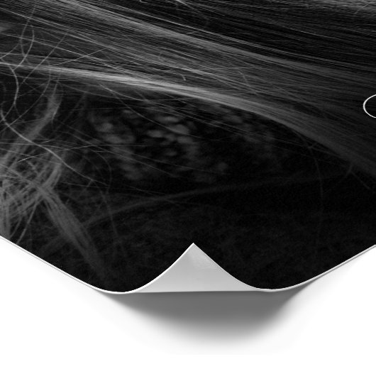 Uw favoriete foto script namen poster (Hoek)