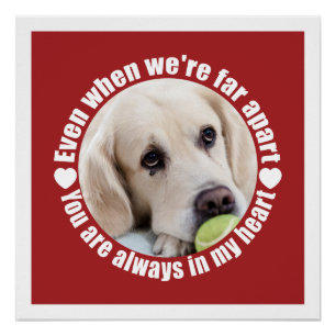 UW FOTO Far Apart Love Custom poster Perfect Poster