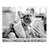 Uw foto op maat 	rubberstempel (Afrduk)