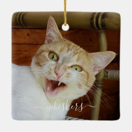 Uw foto-scriptnaam Cat Dog Pet Keepomwille Keramisch Ornament (Achterkant)