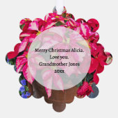 Uw foto - Traditionele jaarlijkse cadeau poinsetti Ornament Kaart (Achterkant)