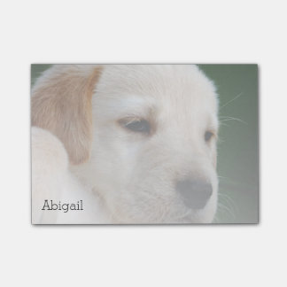 Uw foto verdwijnt automatisch geleidelijk post-it® notes