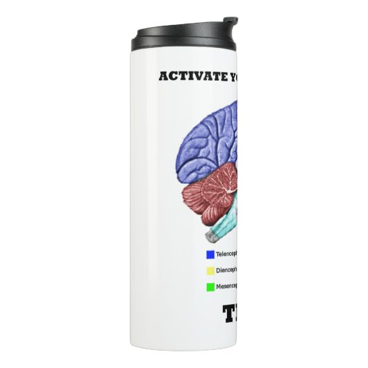Uw grijze materie activeren Denk aan anatomisch br Thermosbeker (Gedraaid links)