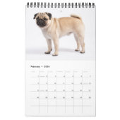 Uw hond 14 foto's Quote 2026 Kalender (Feb 2026)